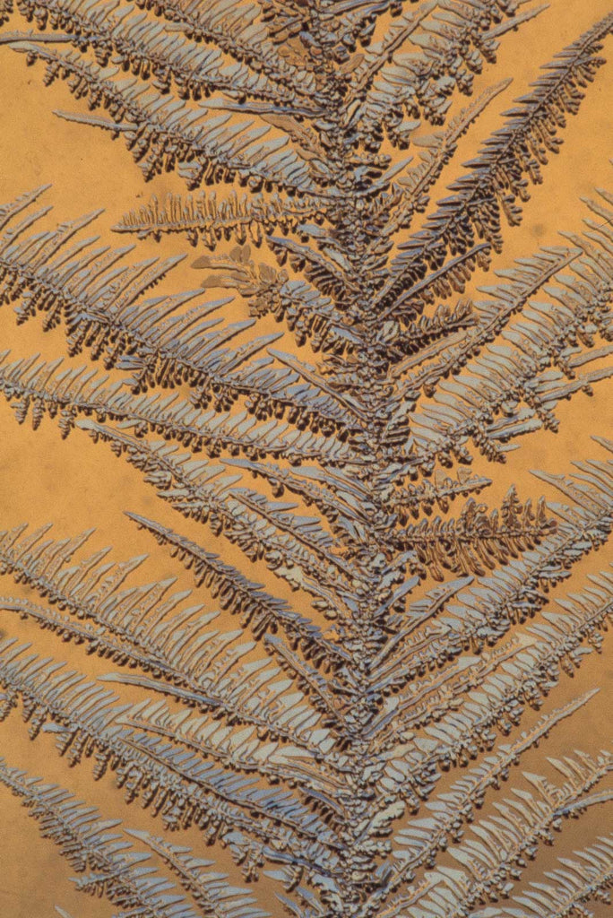 Ice Crystals No 98 – Jay Maisel