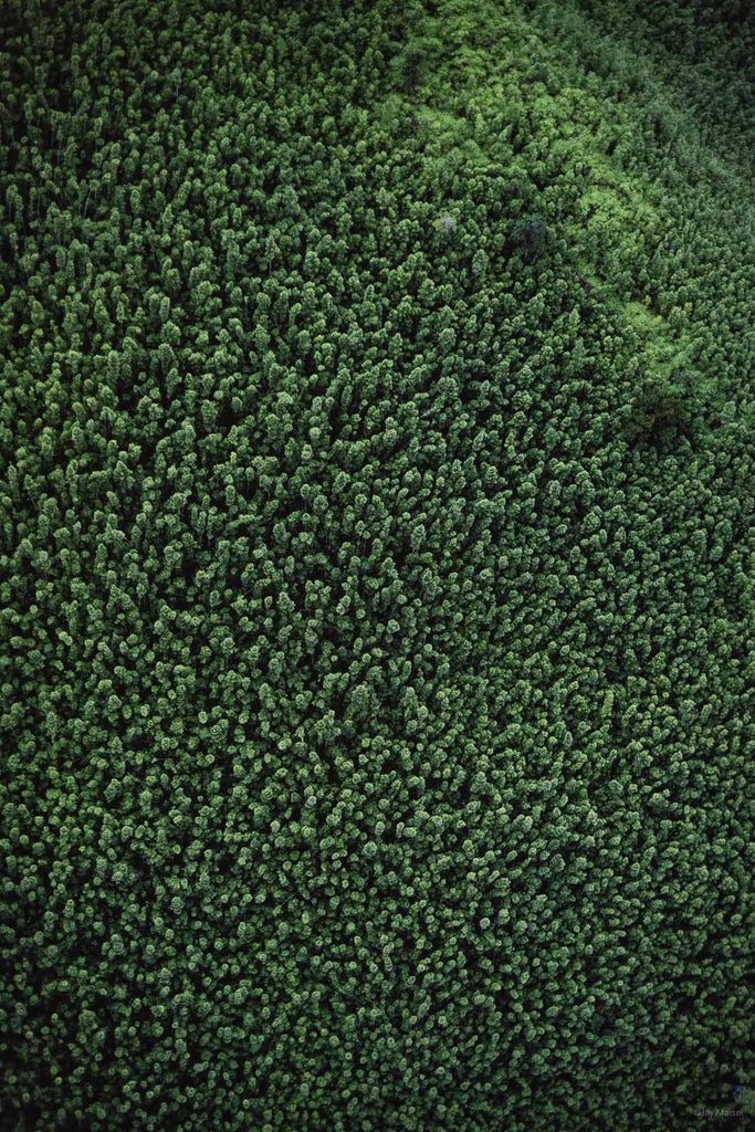 Hawaii Land No 98 – Jay Maisel