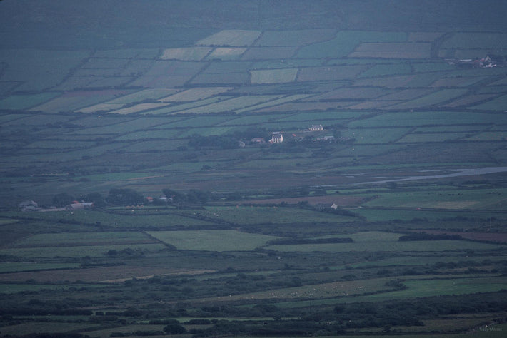 Green Landscape, Ireland