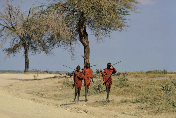 Three Young Masai Men, Kenya