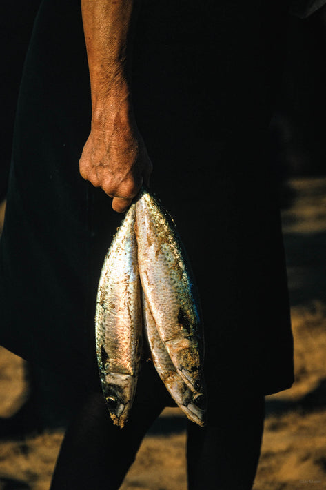 Woman's Hand with Two Fish, Portugal