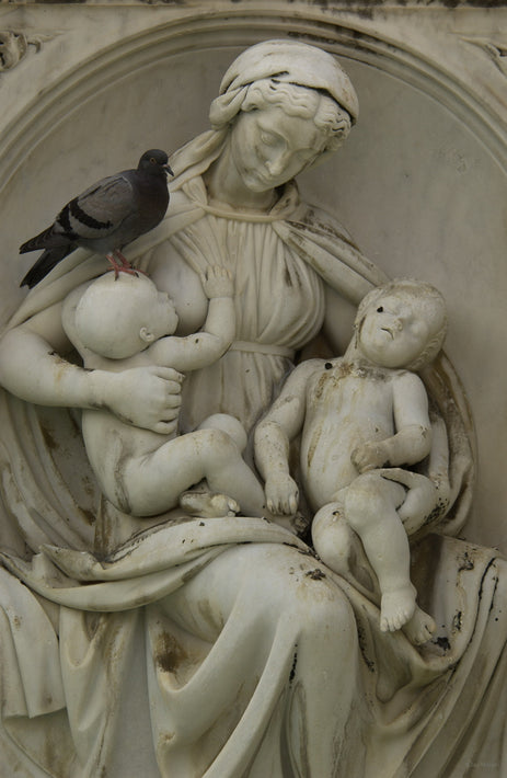 Pigeon, Sculpture, Siena