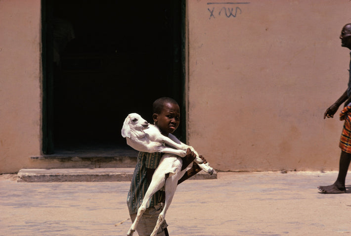 Boy Carrying Sheep, Somalia