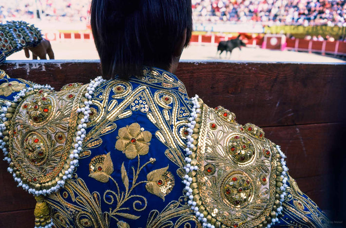 Back of Matador in Blue, Arles