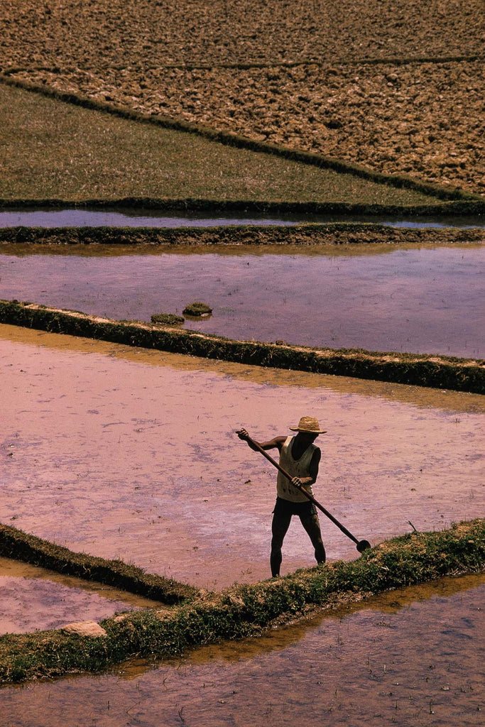 Water No 4 – Jay Maisel