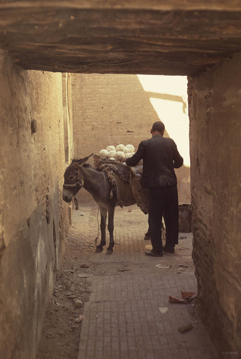 Man and Mule in Courtyard, Iran