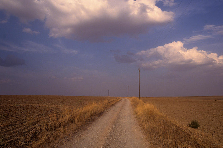 Road Through Field, Spain