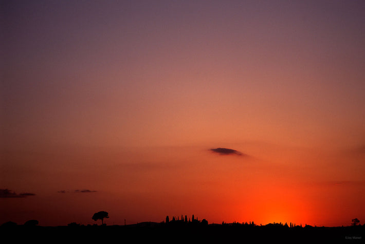 Sunset with Trees, Cortona