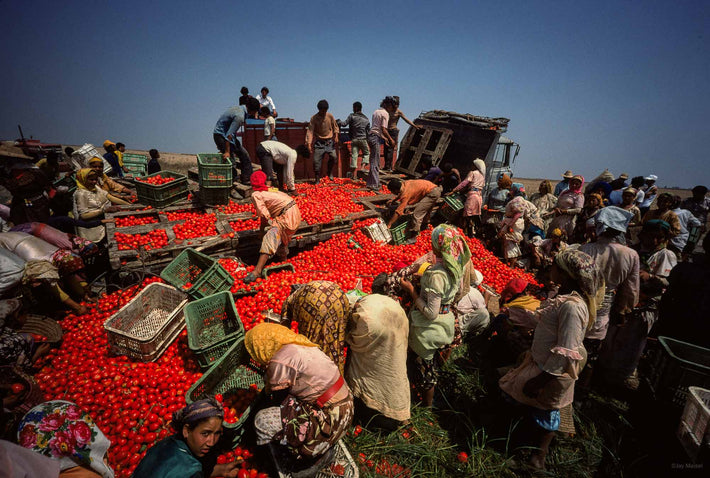 Tomato Catastrophe, Marrakech
