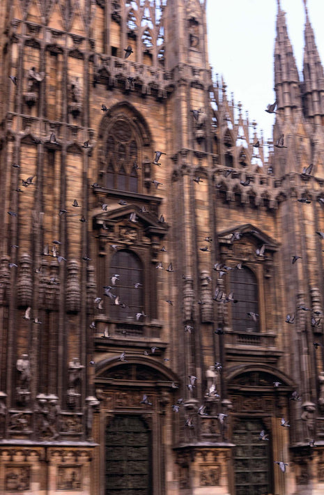 Duomo Facade with Birds, Milan