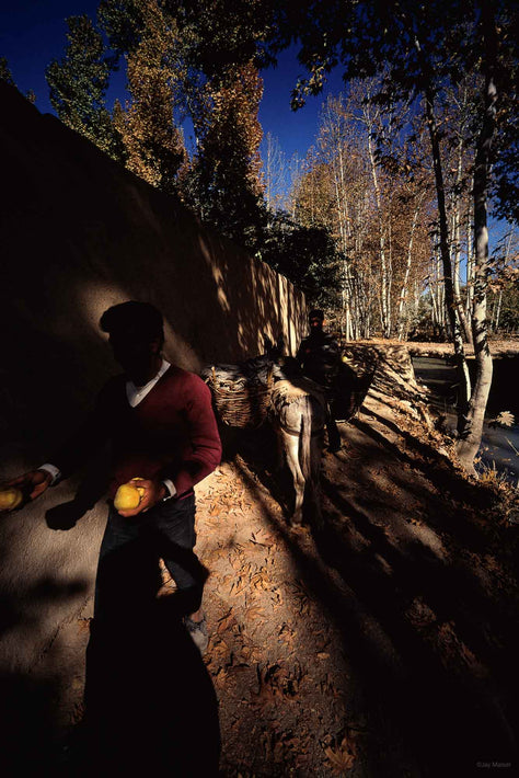 Man Holding an Orange, Iran