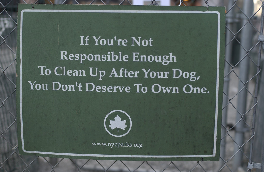 Signs No 10 – Jay Maisel