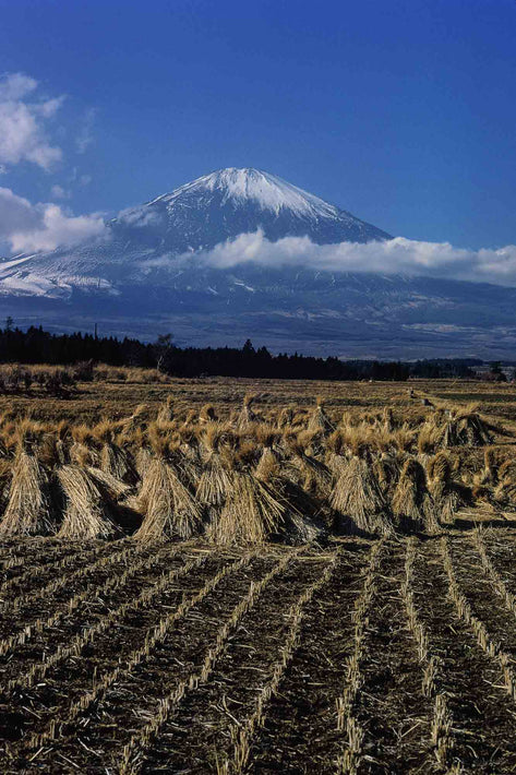 Mt. Fuji from Train, Japan