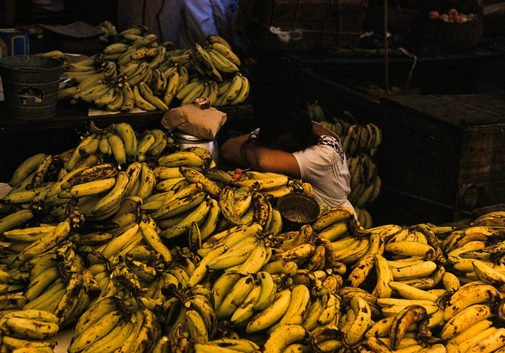 Asleep in Bananas, Mexico