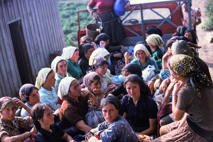 Women in Truck, Portugal