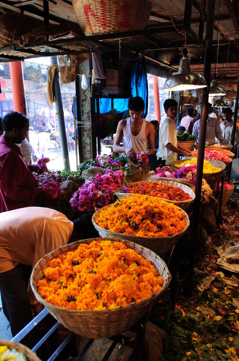 Orange Flowers, Mumbai