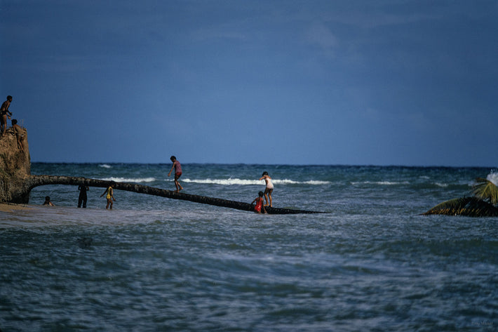Kids Playing on Fallen Tree, Puerto Rico