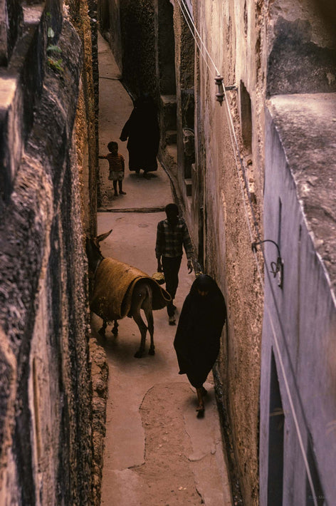 Alley from Above, People and Donkey, Kenya