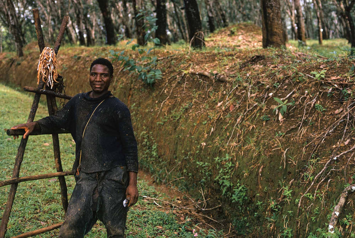 Portrait of Worker on Rubber Plantation, Liberia