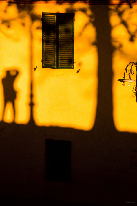 Shadow of Jay, Lucca, Italy