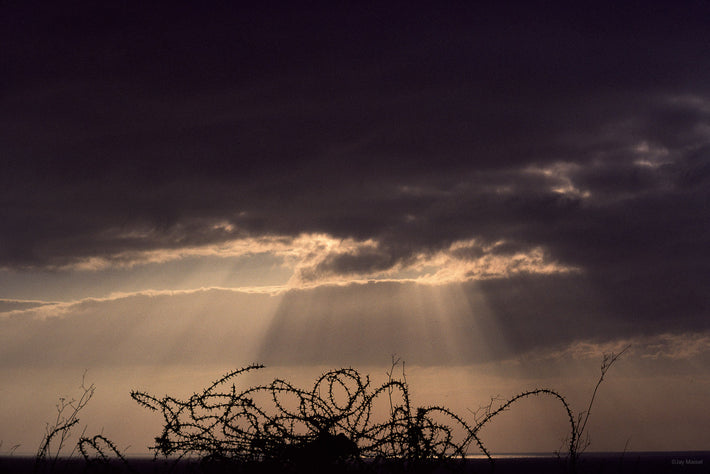 Barbed Wire and Sky, France