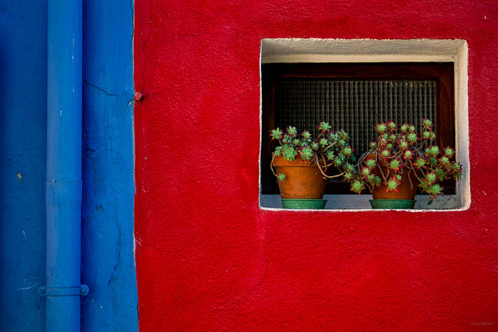 Blue Red Wall, Plants, Burano