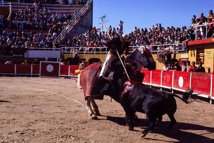 Picador Stabbing Bull, Arles