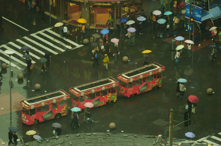 Hotel View of Street, Umbrellas, Red Vehicles, Shanghai