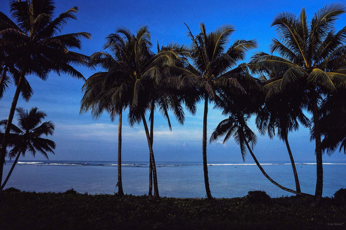 Bermuda 5