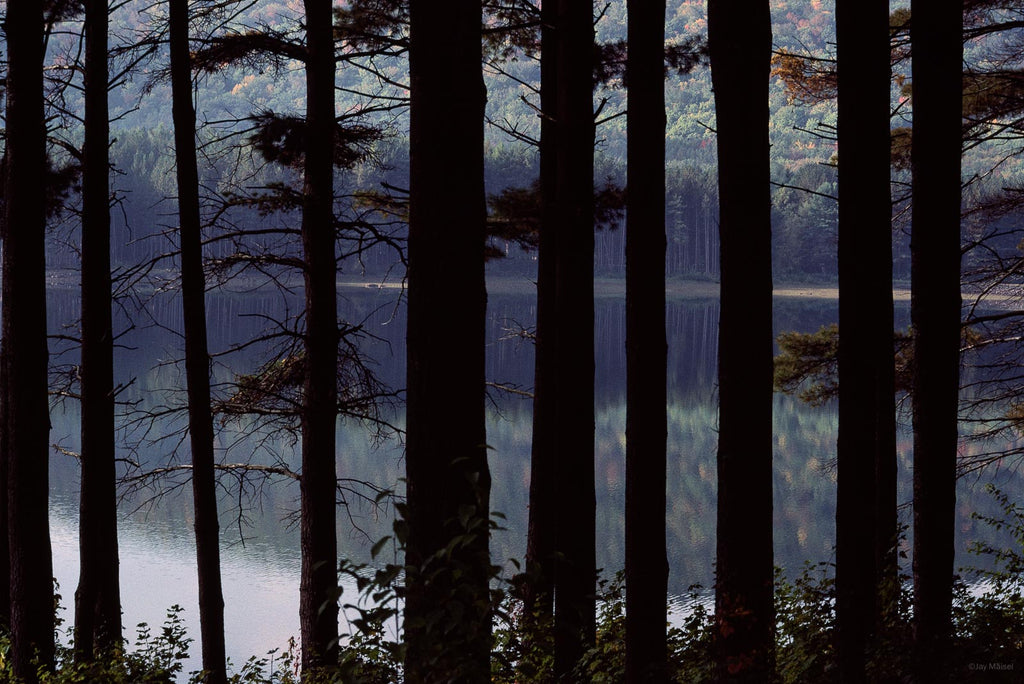 Water No 19 – Jay Maisel