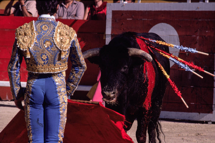 Bull and Matador Face to Face, Arles