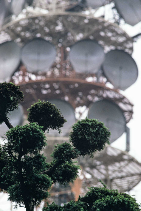 Plants Echoing Satellite Dishes, Tokyo