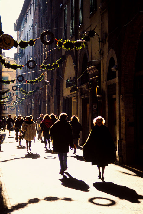 Backlit Street, Lucca, Italy
