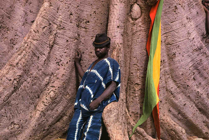 Senegalese Lutte Wrestling, Spectator in Blue Against Tree, Senegal
