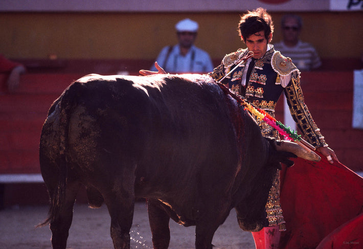 Matador Taunting Bull, Arles
