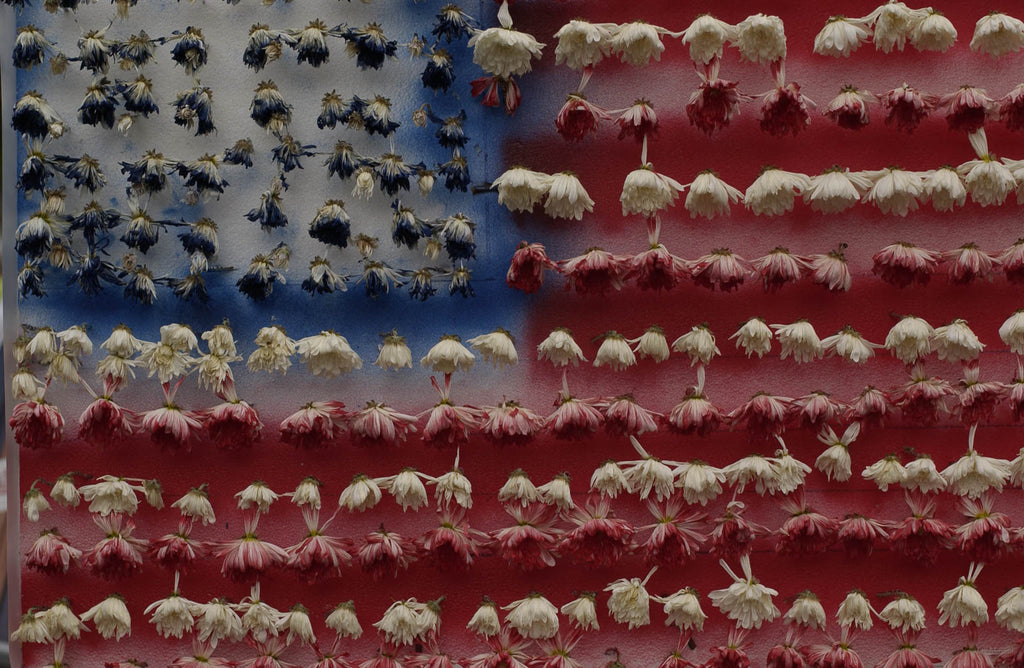 Flags No 23 – Jay Maisel