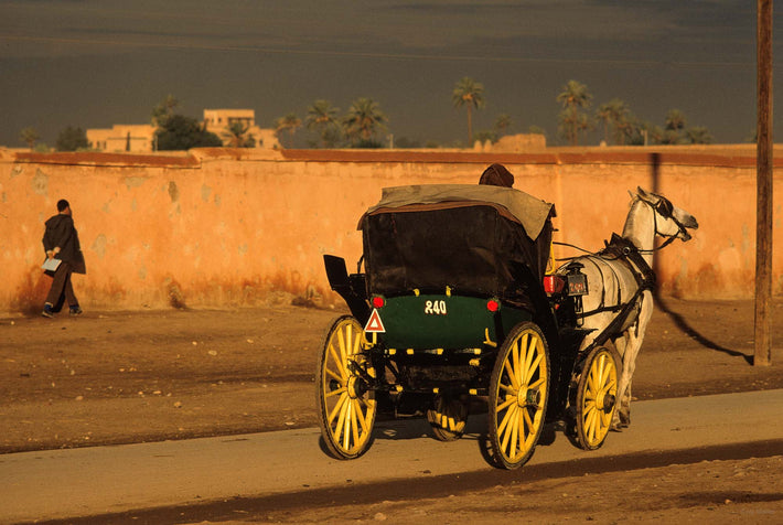 Horse and Carriage with Figure in Background, Marrakech
