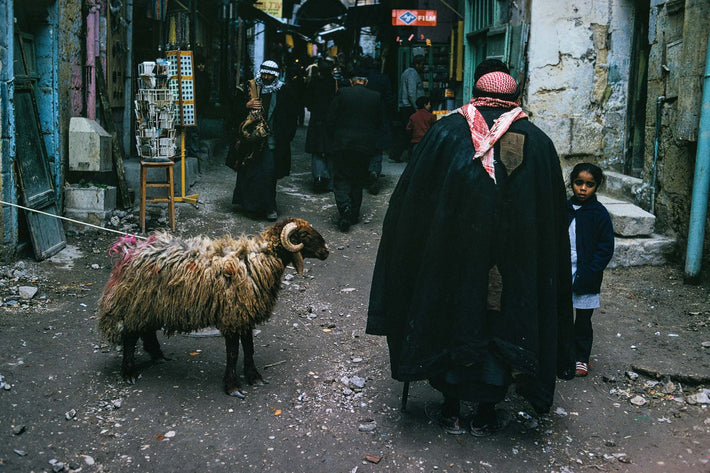 Back Alley with Sheep, Man and Girl, Jerusalem