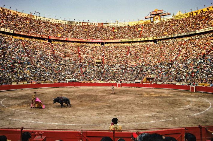 Medium shot, Bullring, Mexico