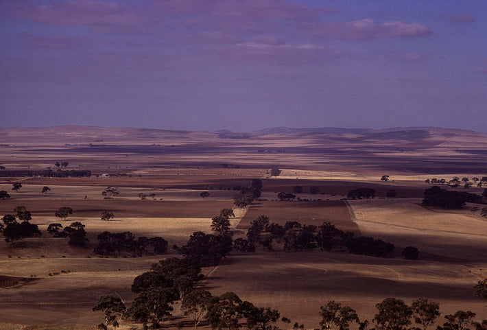 Landscape 1 - Patterned Fields, Australia