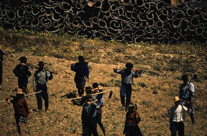 Workers with Cork Trees in Background, Portugal