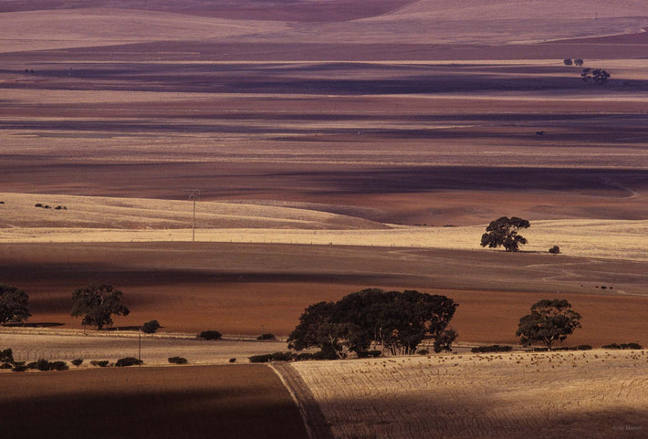 Landscape 2 - Tighter Shot, Australia