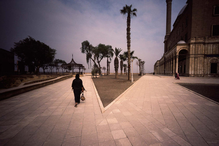 Figure in Black with Palm Trees, Egypt