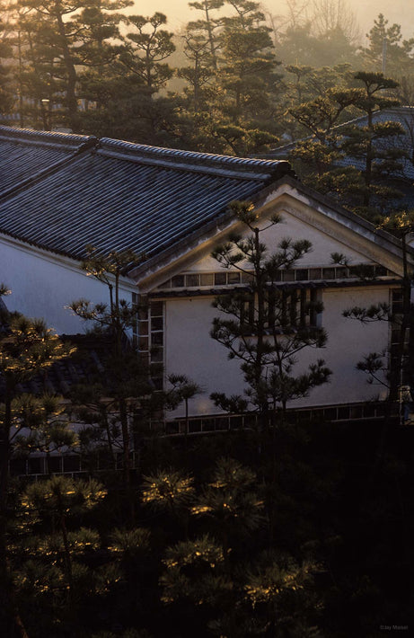 Building and Trees, Japan