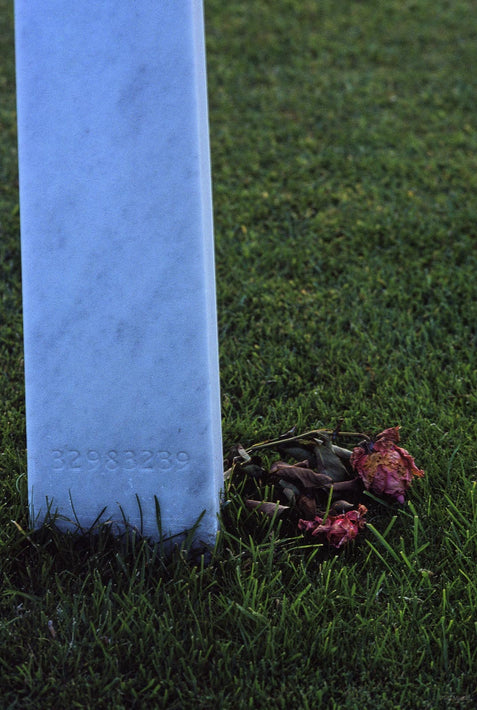Detail U.S. Military Cemetery No. 1, Normandy, France