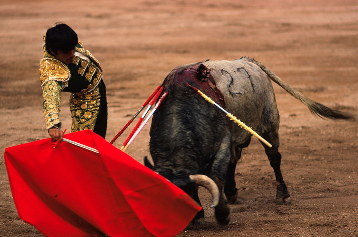 Bull Charges 2, Mexico