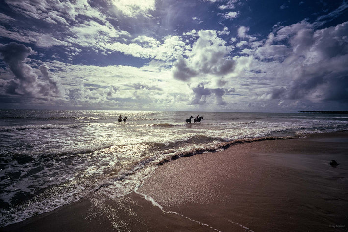 Four Horses and Sea, Puerto Rico