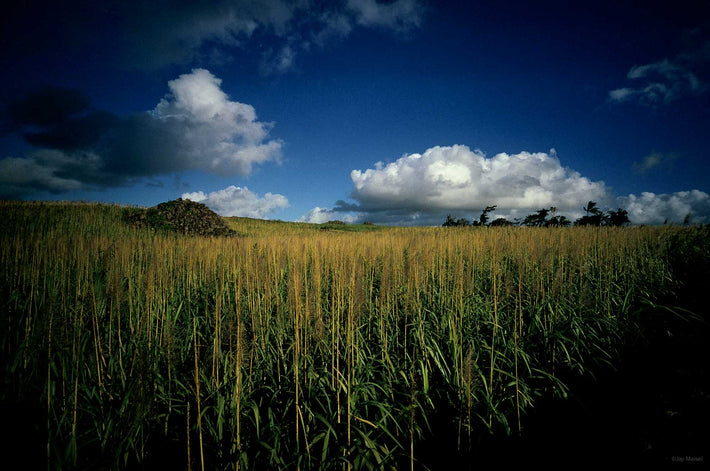 Landscape and Clouds, Rocks on Left, Mauritius