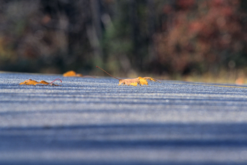 X-USA Roads No 32 – Jay Maisel