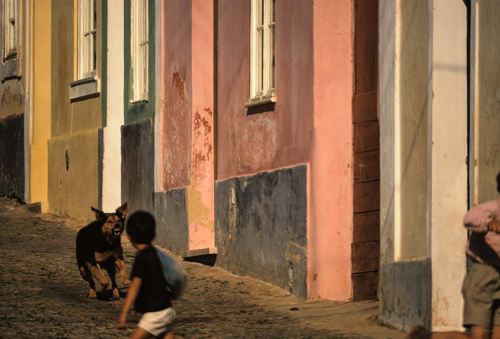 Dog, Two Children, Portugal